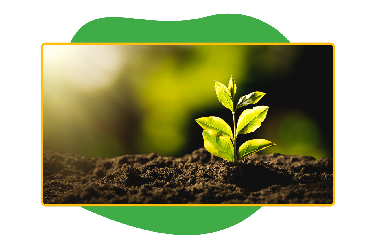 environmentally conscious 